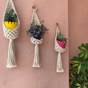 May include: Three macrame plant hangers with wooden rings, each holding a small potted plant. The hangers are cream colored and have tassels. The plants are in yellow, pink, and blue pots.