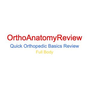 Full Body Orthopedic Anatomy Review Sheet (PDF Download)