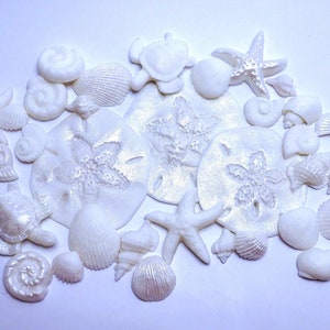 12 piezas de criaturas marinas, conchas marinas y conchas de estrella para  decoración de pastel de fiesta de cumpleaños, baby shower, boda, pastel