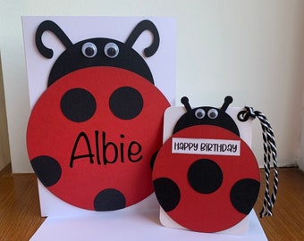 Handmade ladybird card and matching Gift Tag, Can be personalised, Any occasion, Cards for kids