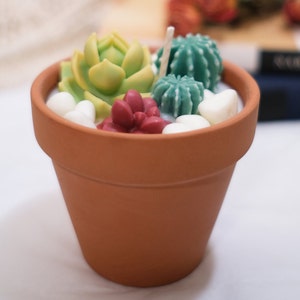 Succulent candle,Small Cacti Plants|Cactus Candle for Cactus and Succulent Lovers | Mini Terrarium|Spring gift