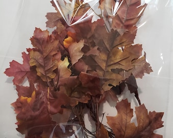 May include: A bundle of artificial oak leaves in shades of brown, red, and yellow, displayed in a clear plastic bag. The leaves have detailed veining and are bundled together with thin, brown stems, perfect for fall decor.
