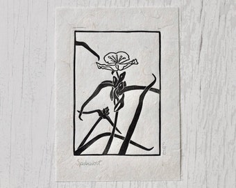 Spiderwort - Linocut Print - North American Wildflower