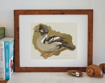 Giclée Print - Goldeneye Duck - Fine Art - Unframed