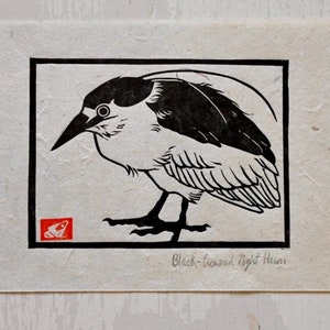 Black Crowned Night Heron - Linocut Print - Gifts for Bird Watchers- Original Wall Art