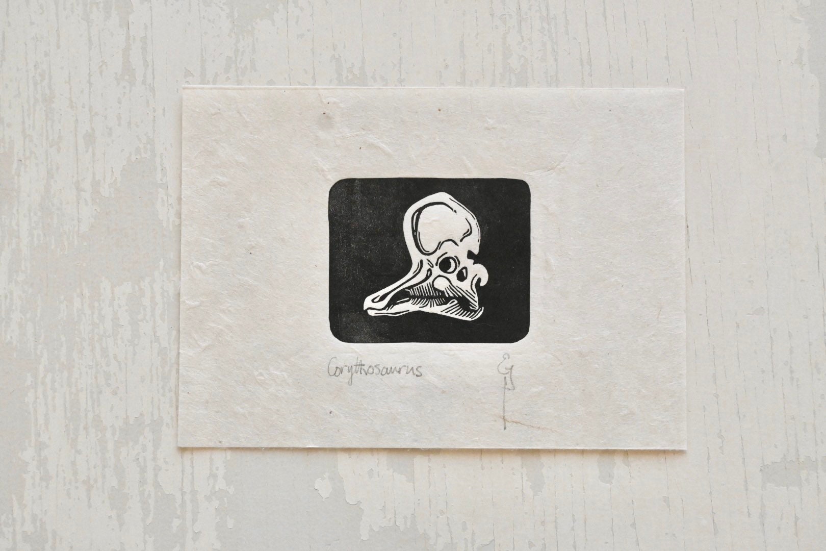 Corythosaurus Hadrosaur Fossil Skull - Linocut Print - Dinosaur
