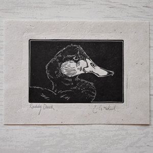 May include: Black and white woodcut print of a ruddy duck's head and neck. The print is signed "Ruddy Duck" and "E. Grekul".