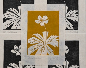 Canada Anemone - Linocut Print - Wildflower