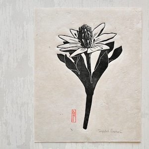 Tenpetal Anemone- Linocut Print