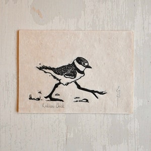 Killdeer Chick- Lino Print