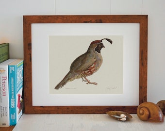 Giclée Print - Gambel’s Quail - Fine Art - Unframed