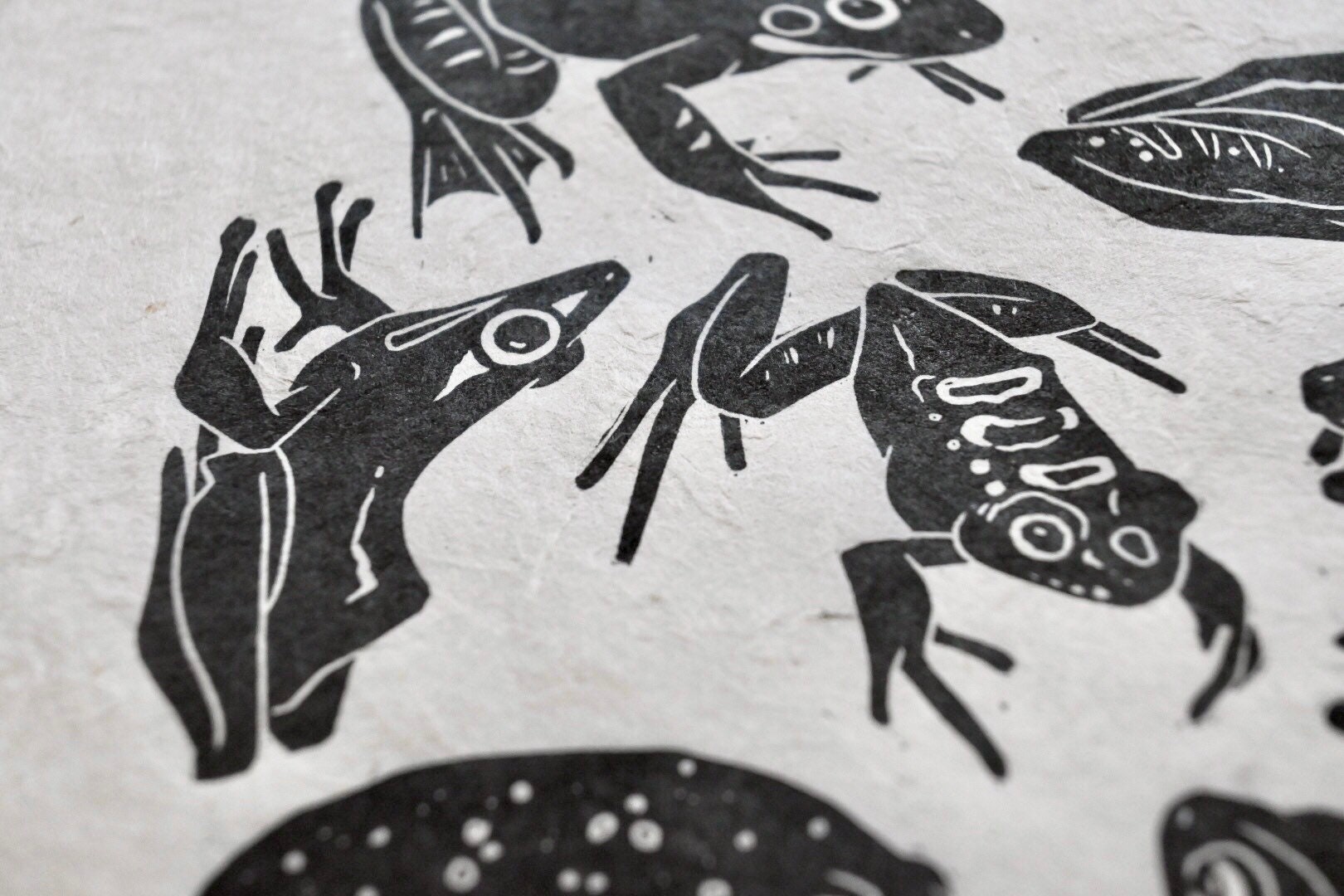 Frog Species Linocut Print – Handmade 8x10 Art on Lokta Paper - Etsy