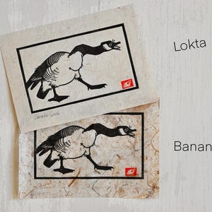 May include: Two black and white prints of a Canada Goose on different types of paper. The top print is on Lokta paper and the bottom print is on Banana paper.