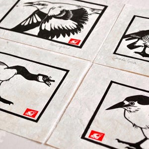 May include: Four black and white illustrations of birds on a white background. The birds are a black-capped chickadee, a Canada goose, a black-crowned night heron, and a common grackle. Each illustration is framed with a black border and has a red stamp in the lower right corner.