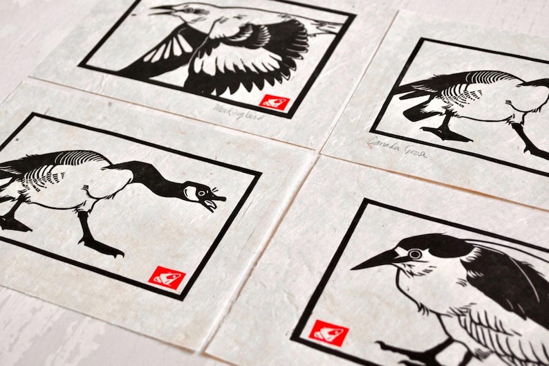 May include: Four black and white illustrations of birds on a white background. The birds are a black-capped chickadee, a Canada goose, a black-crowned night heron, and a common grackle. Each illustration is framed with a black border and has a red stamp in the lower right corner.