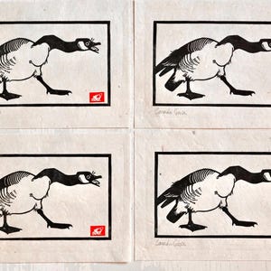 May include: Four black and white prints of Canada geese with their necks stretched out. Each print is framed in a black border and has the text "Canada Goose" at the bottom.