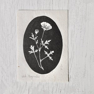 White Poppymallow - Wine cup - Linocut Print Wildflower