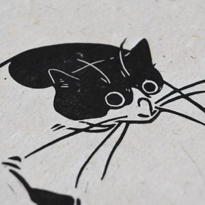 May include: Black and white line art illustration of a cat with one eye closed and the other eye open. The cat is looking to the right of the image. The cat's whiskers are visible.
