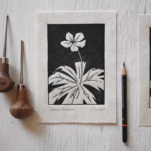 Canada Anemone | Linocut Print | Canadian Wildflower | Original Art | Natural Paper
