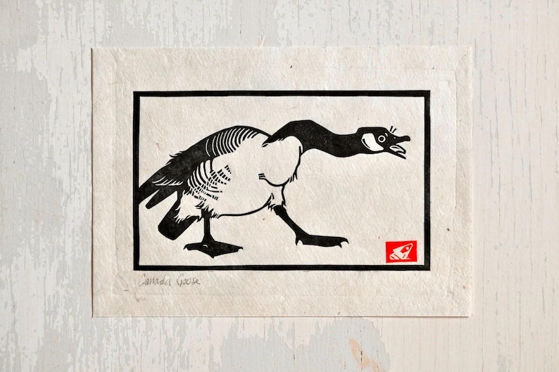 May include: Black and white illustration of a Canada goose with its head turned to the side and beak open. The image is framed in a black rectangle with the text "Canada Goose" below the image.