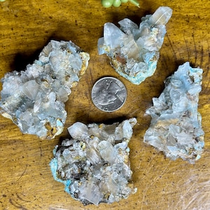 May include: Four clusters of clear quartz crystals with a light blue hue and a turquoise base are displayed on a wooden surface. A US quarter coin is included for size reference. The crystals have a natural, raw appearance.