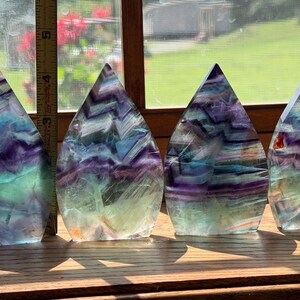 May include: Four flame-shaped fluorite crystals featuring banded patterns of purple, blue, and green. A yellow measuring tape is positioned next to the first crystal, showing a height of approximately 5 inches for the polished stone specimens.