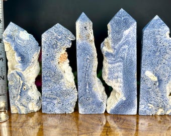Rare Blue Fossil Coral Natural Towers | Fossil Coral Crystal | Blue Coral | Natural Coral