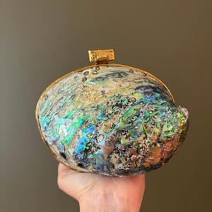 Abalone Shell Clutch Purse – Iridescent Mother of Pearl Evening Bag with Gold Frame