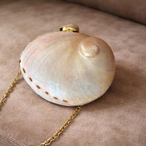 Könnte beinhalten: Eine perlmuttfarbene Clutch in Muschelform mit einem goldfarbenen Kettenriemen. Die Clutch hat einen goldenen Verschluss und Zierleisten sowie eine Reihe kleiner, brauner Punkte am Rand. Die Muschel hat einen natürlichen, irisierenden Glanz.