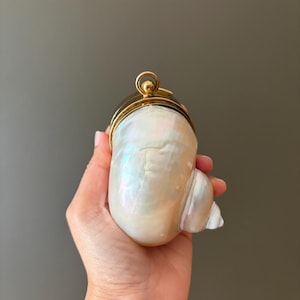 Pode incluir: Uma bolsa clutch feita de concha nacarada com uma superfície lisa e iridescente em forma de espiral natural. O acessório é finalizado com uma estrutura de metal dourado polido e um fecho circular no topo, conferindo um visual refinado.