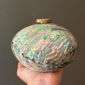 May include: An oval-shaped clutch bag featuring a natural iridescent abalone shell exterior with swirling patterns of green, pink, and blue. The bag is finished with a gold-toned metal frame and a small, circular gold-toned clasp at the top centre.