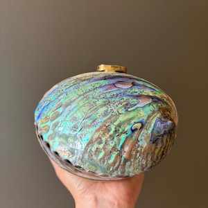 Könnte beinhalten: Eine ovale Clutch aus irisierendem Abalone-Muschelmaterial mit einer natürlichen, mehrfarbigen Oberfläche und wirbelnden Mustern in Grün-, Blau- und Violetttönen. Das Accessoire ist mit einem kleinen, runden Verschluss aus goldfarbenem Metall versehen.