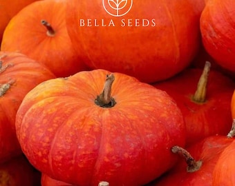 Cinderella Pumpkin Seeds, 10 Seeds