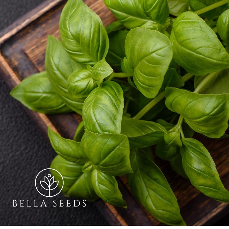 Bella Basil Everleaf Thai Towers - Thumbnail 3