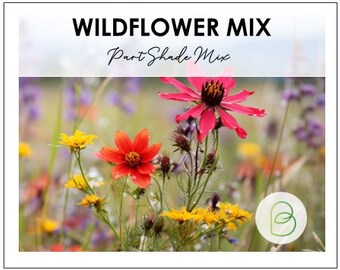 Shade Wildflower Seed Mix: Easy Grow, Vibrant Blooms - Etsy