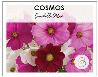 100 Cosmos Sea Shells Mix Seeds