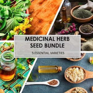 Medicinal Herb Seed Bundle, Heirloom Seeds, Survival Garden Planting, Rare Seeds, Herbs, Non-GMO, Gift, Emergency Garden, Free Shipping