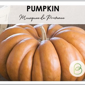 May include: A large, orange pumpkin with a deep, ribbed texture. The pumpkin is labeled "PUMPKIN Musquee de Provence".