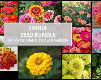 Zinnia Seed Bundle, 10 Varieties, 100+ seeds, Heirloom Seeds, Chartreuse Cut Flower Seeds, Gift for Gardener, Double Zinnia, Rare Seeds