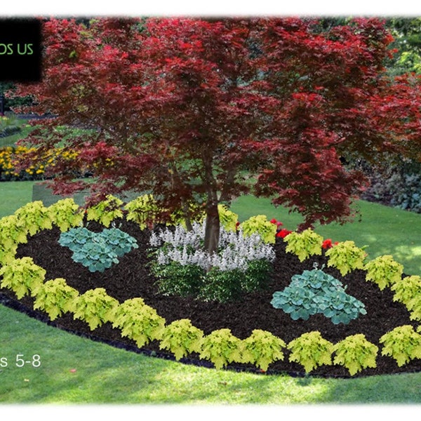 Shade Garden Concept, Comprehensive pre-made landscape plans, PDF instant digital download, Easy Grow, Perennial Flowerbed Plans, Zones 5-8