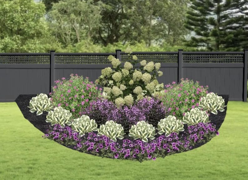 May include: A curved flower bed featuring a mix of plants, including white hydrangeas, purple flowers, and green foliage. The flower bed is bordered by a black fence.