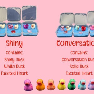May include: The image showcases two sets of miniature duck-themed sets, each in a clear plastic container with blue sand. The text "Shiny" and "Conversation" are displayed. Below, a row of colorful duck figurines are arranged.