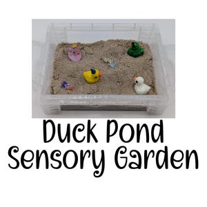May include: A clear plastic container filled with brown sand. There are four small duck figurines in the sand: a pink duck, a yellow duck, a green duck, and a white duck. The container is labeled "Duck Pond Sensory Garden".