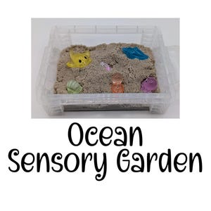 May include: A clear plastic container filled with brown sand and various ocean-themed toys, including a yellow fish, a blue fish, a pink seashell, and a purple starfish. The container is labeled "Ocean Sensory Garden".
