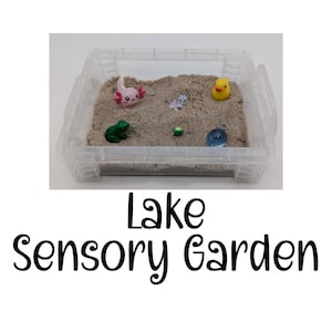 May include: A clear plastic container filled with sand, a green frog, a pink axolotl, a yellow rubber duck, and blue and green glass beads. The container is labeled "Lake Sensory Garden".