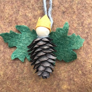 Western Larch Decorative Small Cones Create Rustic Accents