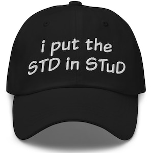 Offensive Hat, Adult Hat, Adult Humor, Funny Dad Hat, Embroidered Hat, Vulgar Hat, I Put The STD in Stud, Party Hat, Unhinged Hat, Dirty Hat
