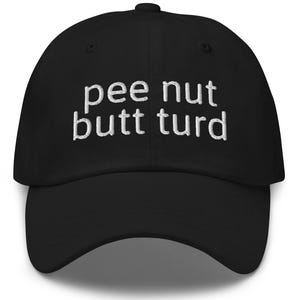 Meme Hat, Stupid Hat, Offensive Hats, Funny Dad Hat, Embroidered Hat, Gen Z Hat, Rude Hats, Unhinged Hat, Pee Nut Butt Turd
