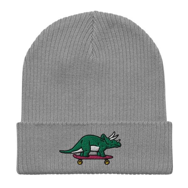 Dinosaur Skateboard Embroidered Beanie, Tattoo Flash, Old School Tattoo, Funny Beanie, Streetwear Hat, Animal Hat, Cool Beanie, Skater Hat