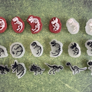 Dinosaur fossil clog charms glow in the dark